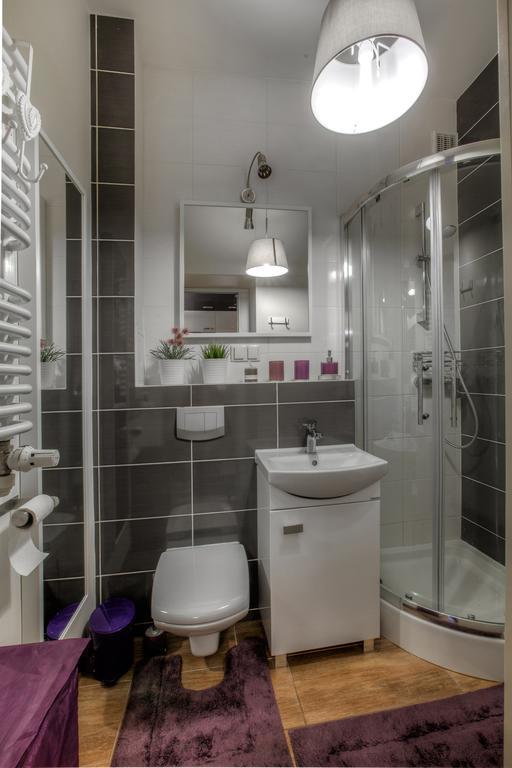 Apartment Apartament Hoza 21